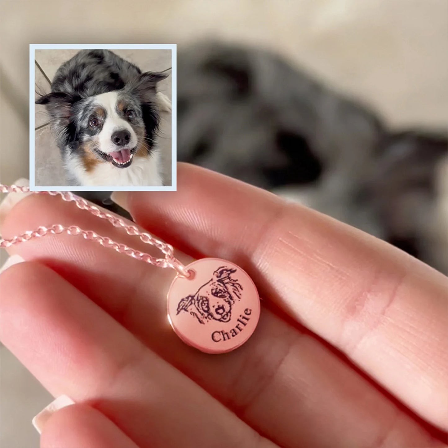 Collar personalizado con grabado de foto de mascota