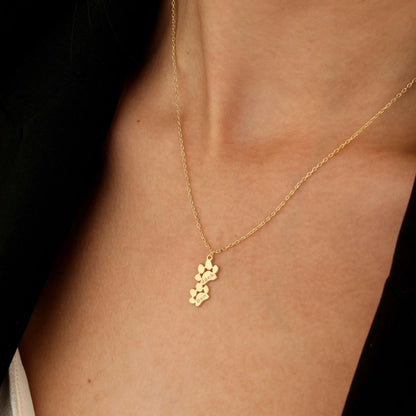 Collar de huella personalizado con nombre