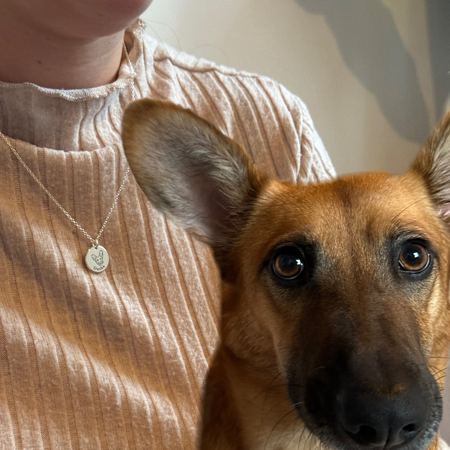 Collar personalizado con grabado de foto de mascota